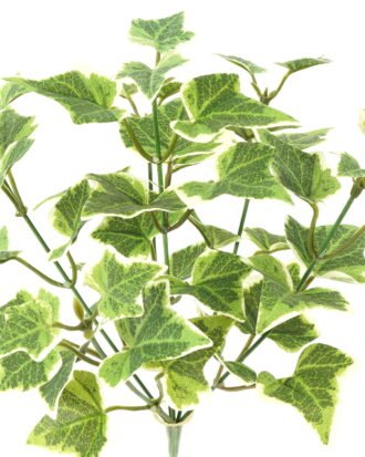 Artificial Plant 23*23*31cm Sweetpotato leaf *6 bush GS-65723010-G1 Leaves&Sprays&Foliages YeahFlower is one of Chinese leading OEM manufacturers and exporters , supplying the silk flowers, wholesale artificial trees