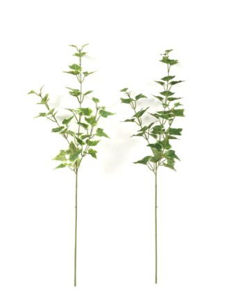 Artificial Plant 20*20*74cm Eyebrow leaf *3 bush GS-65723007 Leaves&Sprays&Foliages 3,000+ sqm showroom with thousands of artificial flowers, plants & trees ready for global sourcing.