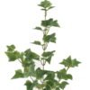 Artificial Plant 21*21*74cm Sweetpotato leaf single stem GS-65723008 Leaves&Sprays&Foliages YeahFlower is one of Chinese leading OEM manufacturers and exporters , supplying the silk flowers, wholesale artificial trees