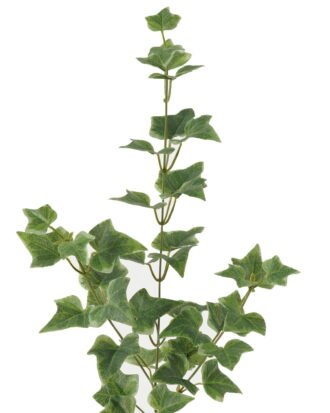 Artificial Plant 21*21*74cm Sweetpotato leaf single stem GS-65723008 Leaves&Sprays&Foliages YeahFlower is one of Chinese leading OEM manufacturers and exporters , supplying the silk flowers, wholesale artificial trees