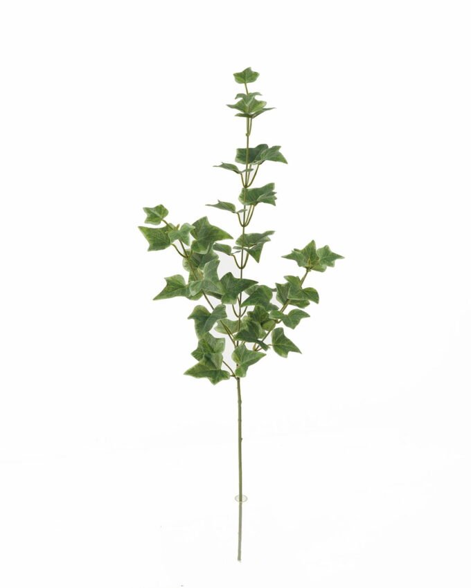 Artificial Plant 21*21*74cm Sweetpotato leaf single stem GS-65723008 Leaves&Sprays&Foliages YeahFlower is one of Chinese leading OEM manufacturers and exporters , supplying the silk flowers, wholesale artificial trees