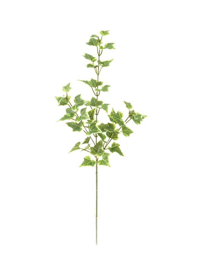 Artificial Plant 21*21*74cm Sweetpotato leaf single stem GS-65723008 Leaves&Sprays&Foliages YeahFlower is one of Chinese leading OEM manufacturers and exporters , supplying the silk flowers, wholesale artificial trees