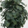 Artificial Table Plants 60cm Eucalyptus leaves in PP pot GS-59522019 Potted Flowers&Plants YeahFlower is one of Chinese leading OEM manufacturers and exporters , supplying the silk flowers, wholesale artificial trees