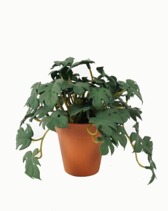 Artificial Table Plants 26*19*15CM Monstera Leaves In Plastic Pot GS-47120022-G1 Potted Flowers&Plants YeahFlower is one of Chinese leading OEM manufacturers and exporters , supplying the silk flowers, wholesale artificial trees