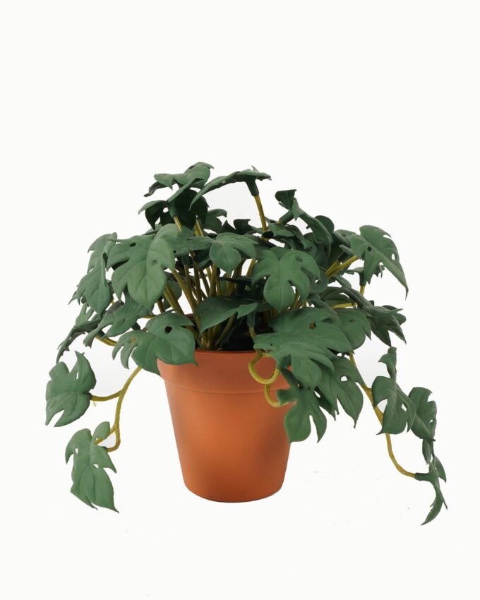 Artificial Table Plants 26*19*15CM Monstera Leaves In Plastic Pot GS-47120022-G1 Potted Flowers&Plants YeahFlower is one of Chinese leading OEM manufacturers and exporters , supplying the silk flowers, wholesale artificial trees