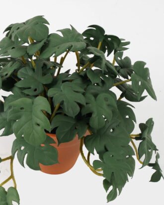 Artificial Table Plants 26*19*15CM Monstera Leaves In Plastic Pot GS-47120022-G1 Potted Flowers&Plants YeahFlower is one of Chinese leading OEM manufacturers and exporters , supplying the silk flowers, wholesale artificial trees