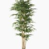 Artificial Tree 110*110*210cm Bamboo *6 in PP pot /lvs 1536 GS-30623004 Tree&Plant YeahFlower is one of Chinese leading OEM manufacturers and exporters , supplying the silk flowers, wholesale artificial trees