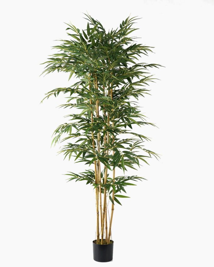 Artificial Tree 110*110*210cm Bamboo *6 in PP pot /lvs 1536 GS-30623004 Tree&Plant YeahFlower is one of Chinese leading OEM manufacturers and exporters , supplying the silk flowers, wholesale artificial trees