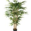 Artificial Tree Bamboo 6 in PP pot lvs 700 GS-30623001_1 Artificial Tree 90*90*120cm Bamboo *6 in PP pot /lvs 700 GS-30623001 Tree&Plant YeahFlower is one of Chinese leading OEM manufacturers and exporters , supplying the silk flowers, wholesale artificial trees