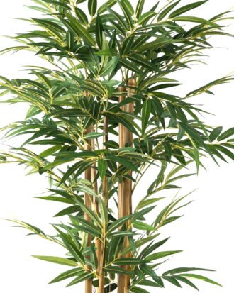 Artificial Tree 90*90*120cm Bamboo *6 in PP pot /lvs 700 GS-30623001 Tree&Plant YeahFlower is one of Chinese leading OEM manufacturers and exporters , supplying the silk flowers, wholesale artificial trees Artificial Tree 90*90*120cm Bamboo *6 in PP pot /lvs 700 GS-30623001 Tree&Plant YeahFlower is one of Chinese leading OEM manufacturers and exporters , supplying the silk flowers, wholesale artificial trees