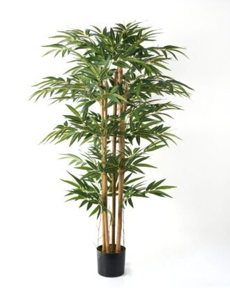 Artificial Tree 100*100*150cm Bamboo *6 in PP pot /lvs 850 GS-30623002 Tree&Plant YeahFlower is one of Chinese leading OEM manufacturers and exporters , supplying the silk flowers, wholesale artificial trees Artificial Tree 100*100*150cm Bamboo *6 in PP pot /lvs 850 GS-30623002 Tree&Plant YeahFlower is one of Chinese leading OEM manufacturers and exporters , supplying the silk flowers, wholesale artificial trees