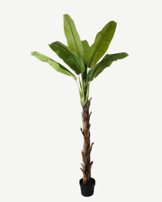 Artificial Tree 130*130*248cm Banana tree in PP pot/10 lvs GS-30423011KD Tree&Plant YeahFlower is one of Chinese leading OEM manufacturers and exporters , supplying the silk flowers, wholesale artificial trees
