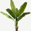 Artificial Tree Banana tree in PP pot 10 lvs GS-30423011KD_1 Artificial Tree 130*130*248cm Banana tree in PP pot/10 lvs GS-30423011KD Tree&Plant YeahFlower is one of Chinese leading OEM manufacturers and exporters , supplying the silk flowers, wholesale artificial trees