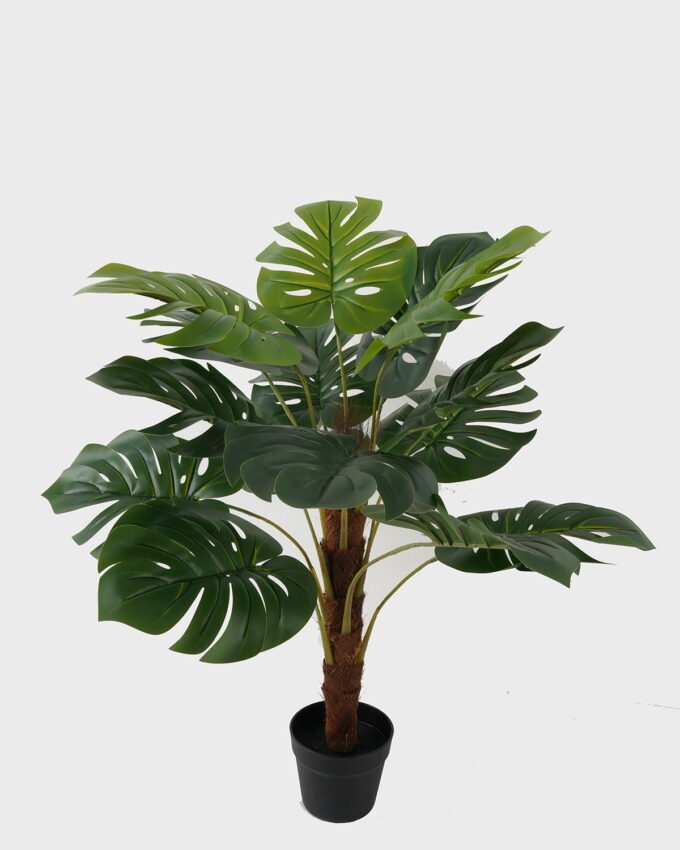 Artificial Tree 75*75*98cm Monstera in PP pot/15 lvs GS-59523011 Tree&Plant YeahFlower is one of Chinese leading OEM manufacturers and exporters , supplying the silk flowers, wholesale artificial trees