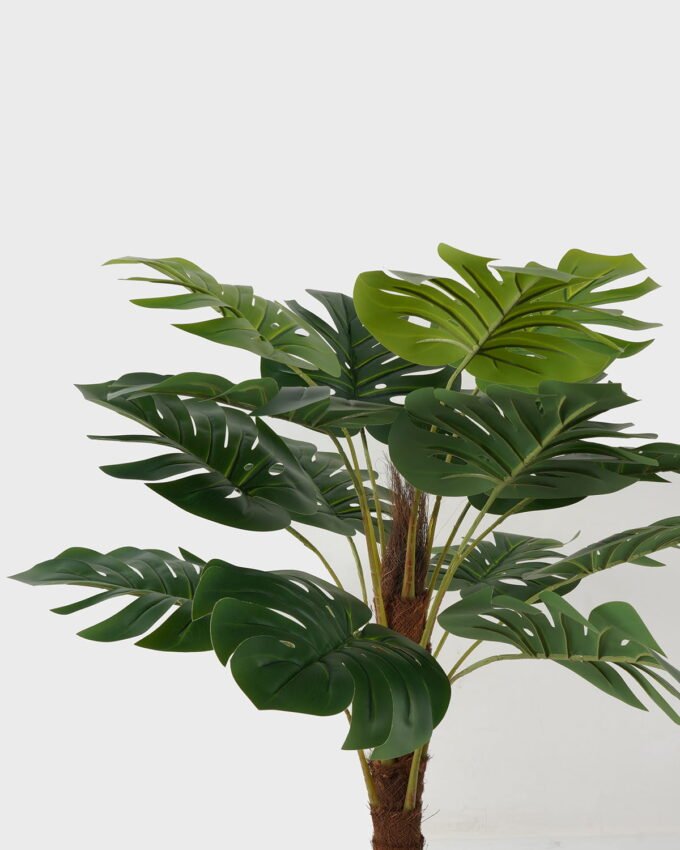 Artificial Tree 75*75*98cm Monstera in PP pot/15 lvs GS-59523011 Tree&Plant YeahFlower is one of Chinese leading OEM manufacturers and exporters , supplying the silk flowers, wholesale artificial trees