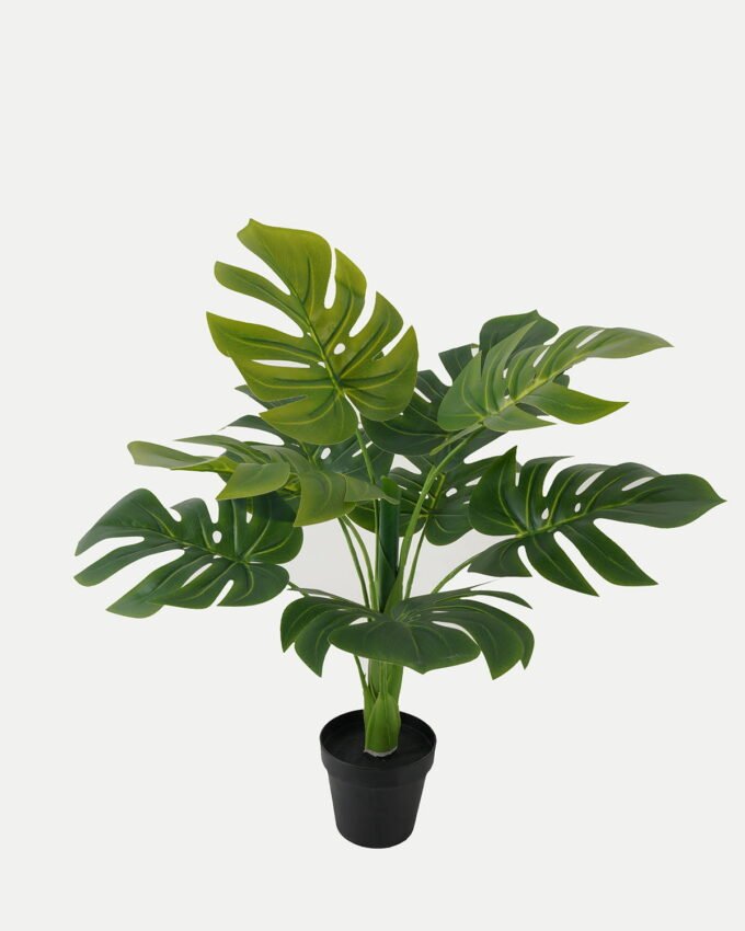 Artificial Tree 60*60*66cm Monstera in PP pot//9 lvs GS-59523012 Tree&Plant YeahFlower is one of Chinese leading OEM manufacturers and exporters , supplying the silk flowers, wholesale artificial trees
