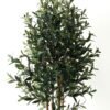 Artificial Tree Olive 4 in PP pot lvs 1584 GS-30623008_6 Artificial Tree 60*60*149cm Olive *4 in PP pot /lvs 1584 GS-30623008 Tree&Plant YeahFlower is one of Chinese leading OEM manufacturers and exporters , supplying the silk flowers, wholesale artificial trees