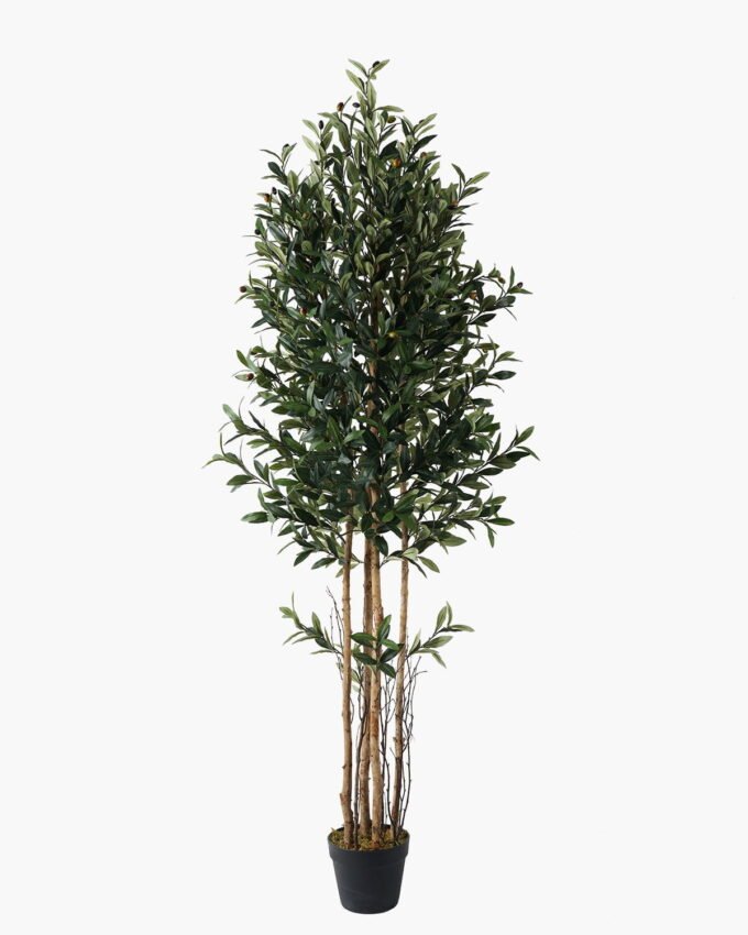 Artificial Tree 60*60*180cm  Olive *4 in PP pot /lvs 2040 GS-30623009 Tree&Plant YeahFlower is one of Chinese leading OEM manufacturers and exporters , supplying the silk flowers, wholesale artificial trees