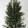 Artificial Tree 60*60*180cm  Olive *4 in PP pot /lvs 2040 GS-30623009 Tree&Plant YeahFlower is one of Chinese leading OEM manufacturers and exporters , supplying the silk flowers, wholesale artificial trees