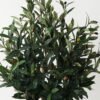 Artificial Tree Olive 4 in PP pot lvs 912 GS-30623006_8 Artificial Tree 60*60*93cm Olive *4 in PP pot /lvs 912 GS-30623006 Tree&Plant YeahFlower is one of Chinese leading OEM manufacturers and exporters , supplying the silk flowers, wholesale artificial trees