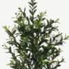 Artificial Tree Olive tree 6 in PP pot 918 lvs GS-30423009_1 Artificial Tree 45*45*120cm Olive tree *6 in PP pot/918 lvs GS-30423009 Tree&Plant YeahFlower is one of Chinese leading OEM manufacturers and exporters , supplying the silk flowers, wholesale artificial trees