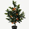 Artificial Tree 40*40*65cm Orange tree *3 in PP pot/184 lvs GS-30423012 Tree&Plant YeahFlower is one of Chinese leading OEM manufacturers and exporters , supplying the silk flowers, wholesale artificial trees