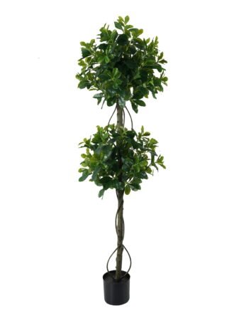 Artificial Tree 50*50*120cm Polyscias   in PP pot/752 lvs GS-30423018 Tree&Plant 3,000+ sqm showroom with thousands of artificial flowers, plants & trees ready for global sourcing.