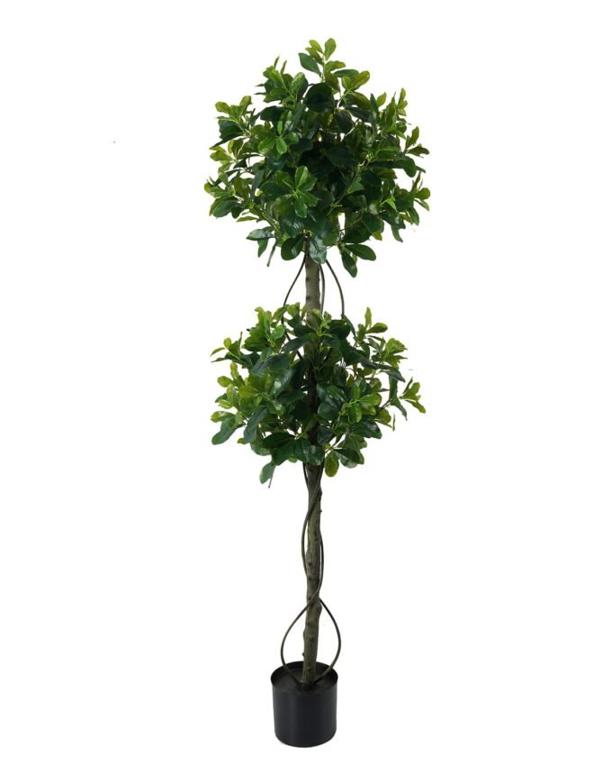 Artificial Tree 50*50*150cm Polyscias *2   in PP pot/1316 lvs GS-30423016 Tree&Plant YeahFlower is one of Chinese leading OEM manufacturers and exporters , supplying the silk flowers, wholesale artificial trees