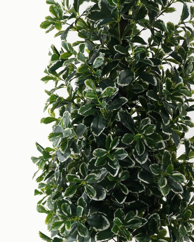 Artificial Tree 50*50*150cm Polyscias in PP pot/1692 lvs GS-30423003 Tree&Plant YeahFlower is one of Chinese leading OEM manufacturers and exporters , supplying the silk flowers, wholesale artificial trees