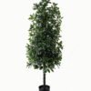Artificial Tree 50*50*150cm Polyscias in PP pot/1692 lvs GS-30423003 Tree&Plant YeahFlower is one of Chinese leading OEM manufacturers and exporters , supplying the silk flowers, wholesale artificial trees