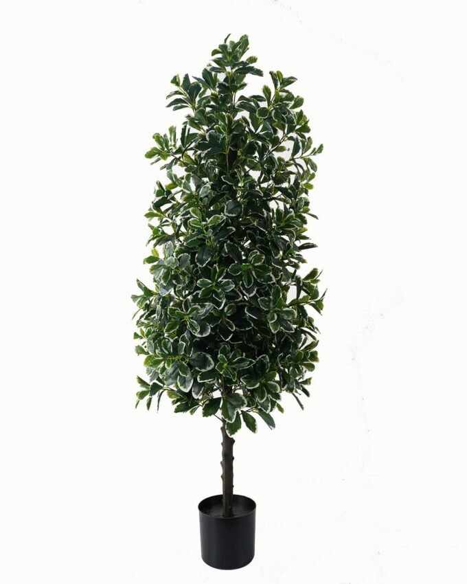 Artificial Tree 50*50*150cm Polyscias in PP pot/1692 lvs GS-30423003 Tree&Plant YeahFlower is one of Chinese leading OEM manufacturers and exporters , supplying the silk flowers, wholesale artificial trees