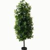Artificial Tree 50*50*150cm Polyscias in PP pot/1692 lvs GS-30423003 Tree&Plant YeahFlower is one of Chinese leading OEM manufacturers and exporters , supplying the silk flowers, wholesale artificial trees