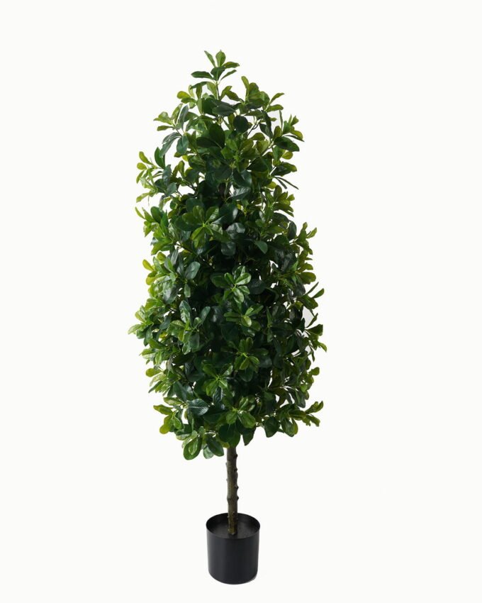 Artificial Tree 50*50*150cm Polyscias in PP pot/1692 lvs GS-30423003 Tree&Plant YeahFlower is one of Chinese leading OEM manufacturers and exporters , supplying the silk flowers, wholesale artificial trees