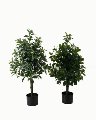 Artificial Tree 40*40*90cm Polyscias in PP pot/564 lvs GS-30423001 Tree&Plant YeahFlower is one of Chinese leading OEM manufacturers and exporters , supplying the silk flowers, wholesale artificial trees Artificial Tree 40*40*90cm Polyscias in PP pot/564 lvs GS-30423001 Tree&Plant YeahFlower is one of Chinese leading OEM manufacturers and exporters , supplying the silk flowers, wholesale artificial trees