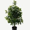 Artificial Tree 40*40*90cm Polyscias in PP pot/564 lvs GS-30423001 Tree&Plant YeahFlower is one of Chinese leading OEM manufacturers and exporters , supplying the silk flowers, wholesale artificial trees