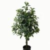 Artificial Tree 40*40*90cm Polyscias in PP pot/564 lvs GS-30423001 Tree&Plant YeahFlower is one of Chinese leading OEM manufacturers and exporters , supplying the silk flowers, wholesale artificial trees