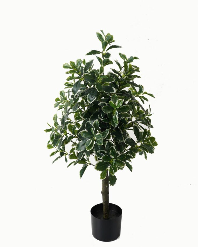 Artificial Tree 40*40*90cm Polyscias in PP pot/564 lvs GS-30423001 Tree&Plant YeahFlower is one of Chinese leading OEM manufacturers and exporters , supplying the silk flowers, wholesale artificial trees