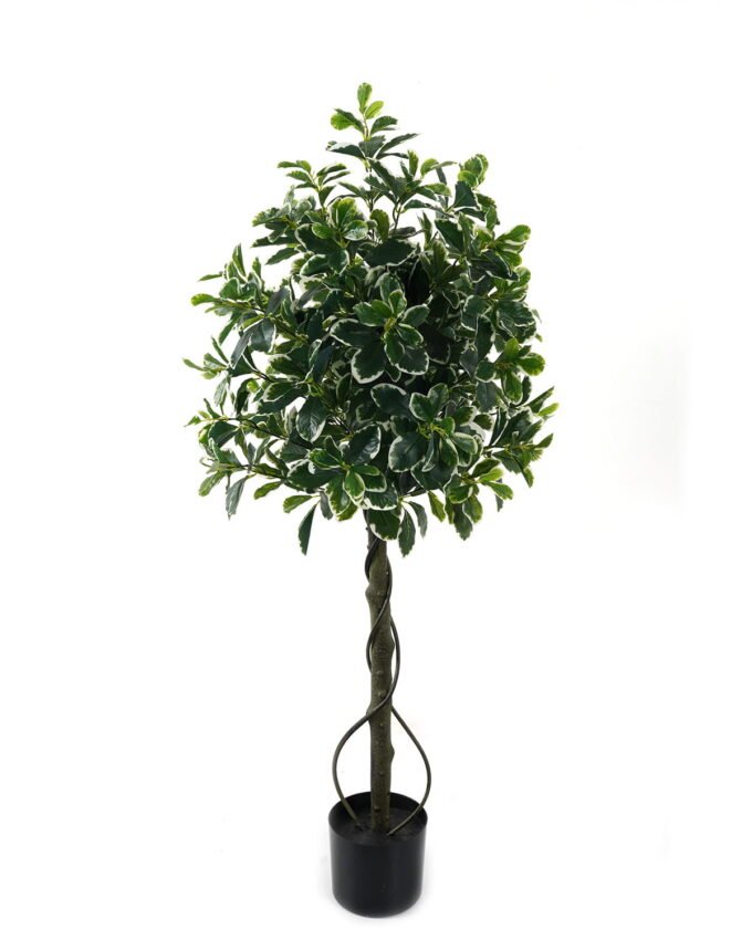 Artificial Tree Polyscias in PP pot 752 lvs GS-30423017_1 Artificial Tree 50*50*120cm Polyscias in PP pot/752 lvs GS-30423017 Tree&Plant YeahFlower is one of Chinese leading OEM manufacturers and exporters , supplying the silk flowers, wholesale artificial trees