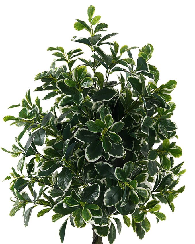 Artificial Tree Polyscias in PP pot 752 lvs GS-30423017_2 Artificial Tree 50*50*120cm Polyscias in PP pot/752 lvs GS-30423017 Tree&Plant YeahFlower is one of Chinese leading OEM manufacturers and exporters , supplying the silk flowers, wholesale artificial trees