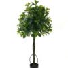 Artificial Tree Polyscias in PP pot 752 lvs GS-30423018_1 Artificial Tree 50*50*120cm Polyscias in PP pot/752 lvs GS-30423018 Tree&Plant YeahFlower is one of Chinese leading OEM manufacturers and exporters , supplying the silk flowers, wholesale artificial trees