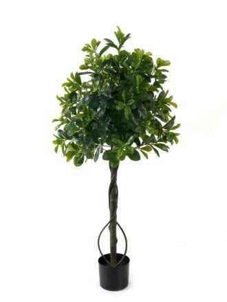 Artificial Tree 50*50*150cm Polyscias *2   in PP pot/1316 lvs GS-30423016 Tree&Plant 3,000+ sqm showroom with thousands of artificial flowers, plants & trees ready for global sourcing.