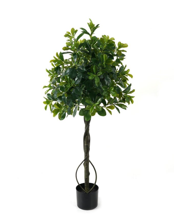 Artificial Tree Polyscias in PP pot 752 lvs GS-30423018_1 Artificial Tree 50*50*120cm Polyscias in PP pot/752 lvs GS-30423018 Tree&Plant YeahFlower is one of Chinese leading OEM manufacturers and exporters , supplying the silk flowers, wholesale artificial trees