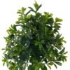Artificial Tree Polyscias in PP pot 752 lvs GS-30423018_2 Artificial Tree 50*50*120cm Polyscias in PP pot/752 lvs GS-30423018 Tree&Plant YeahFlower is one of Chinese leading OEM manufacturers and exporters , supplying the silk flowers, wholesale artificial trees