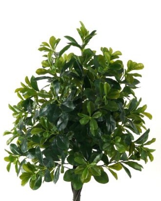 Artificial Tree 50*50*120cm Polyscias   in PP pot/752 lvs GS-30423018 Tree&Plant YeahFlower is one of Chinese leading OEM manufacturers and exporters , supplying the silk flowers, wholesale artificial trees