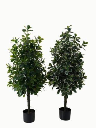 Artificial Tree 40*40*90cm Polyscias in PP pot/564 lvs GS-30423001 Tree&Plant 3,000+ sqm showroom with thousands of artificial flowers, plants & trees ready for global sourcing.