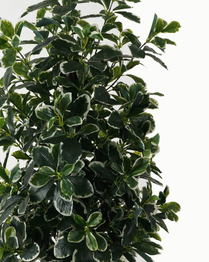 Artificial Tree 45*45*120cm Polyscias in PP pot/940 lvs GS-30423002 Tree&Plant YeahFlower is one of Chinese leading OEM manufacturers and exporters , supplying the silk flowers, wholesale artificial trees