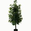 Artificial Tree 45*45*120cm Polyscias in PP pot/940 lvs GS-30423002 Tree&Plant YeahFlower is one of Chinese leading OEM manufacturers and exporters , supplying the silk flowers, wholesale artificial trees