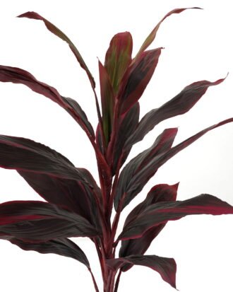 Artificial Tree 58*58*90cm Red cycas tree in PP pot/19 lvs GS-30423014 Tree&Plant YeahFlower is one of Chinese leading OEM manufacturers and exporters , supplying the silk flowers, wholesale artificial trees