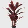 Artificial Tree Red cycas tree in PP pot 25 lvs GS-30423030_1 Artificial Tree 55*55*80cm Red cycas tree in PP pot/25 lvs GS-30423030 Tree&Plant YeahFlower is one of Chinese leading OEM manufacturers and exporters , supplying the silk flowers, wholesale artificial trees