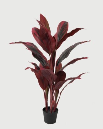 Artificial Tree 55*55*80cm Red cycas tree in PP pot/25 lvs GS-30423030 Tree&Plant YeahFlower is one of Chinese leading OEM manufacturers and exporters , supplying the silk flowers, wholesale artificial trees Artificial Tree 55*55*80cm Red cycas tree in PP pot/25 lvs GS-30423030 Tree&Plant YeahFlower is one of Chinese leading OEM manufacturers and exporters , supplying the silk flowers, wholesale artificial trees